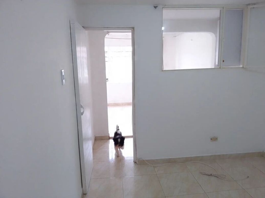 Casa de 8 alcobas en venta en Molinos Del Viento, Bogotá, 256 m² · foto 6 de 17