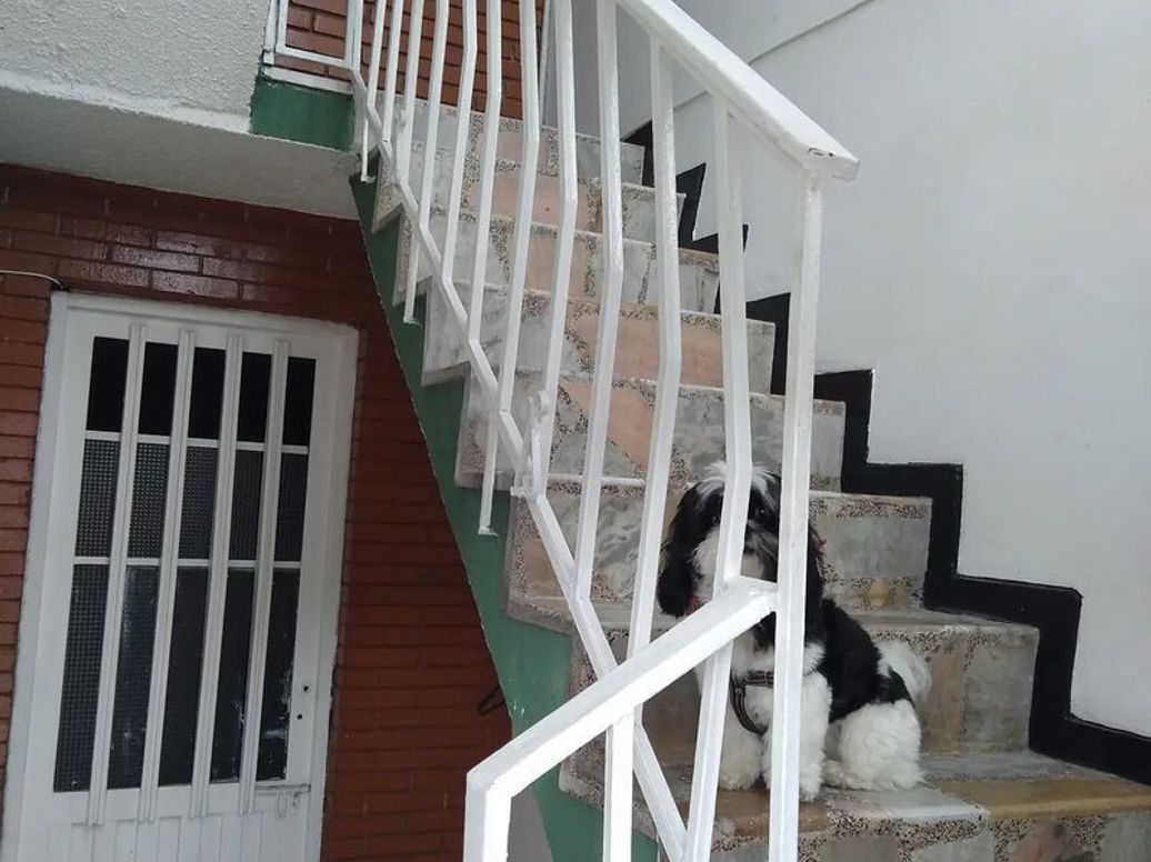 Casa de 8 alcobas en venta en Molinos Del Viento, Bogotá, 256 m² · foto 17 de 17