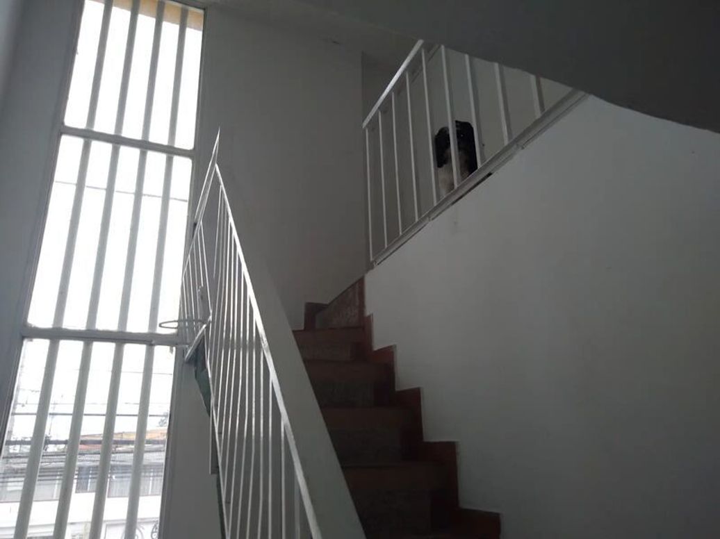 Casa de 8 alcobas en venta en Molinos Del Viento, Bogotá, 256 m² · foto 14 de 17