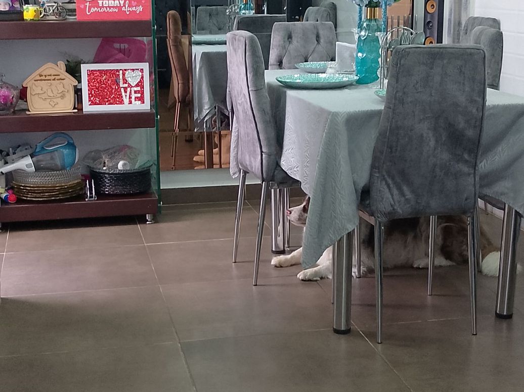 Casa de 4 alcobas en venta en Santa Catalina, Bogotá, 100 m² · foto 4 de 17
