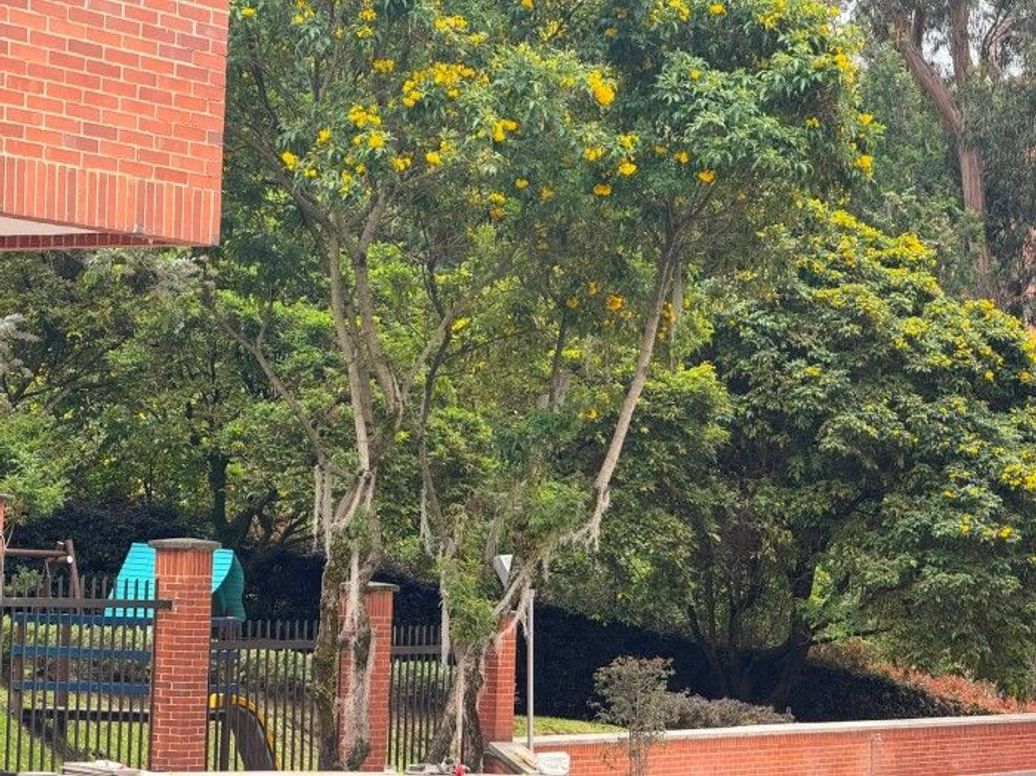 Apartamento de 3 alcobas en venta en San Cristobal Norte, Bogotá, 130 m² · foto 7 de 20