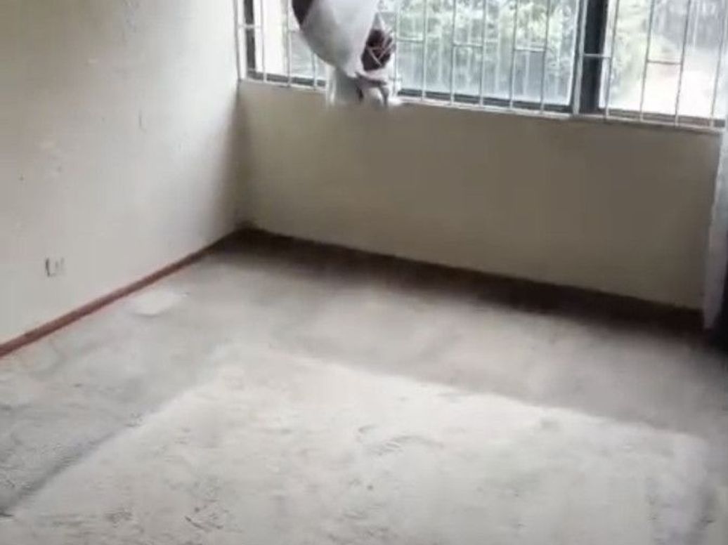 Apartamento de 3 alcobas en venta en Hacienda Cordoba, Bogotá, 73 m² · foto 3 de 15