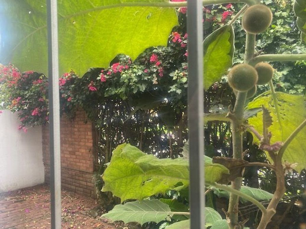 Casa de 2 alcobas en venta en Las Margaritas, Bogotá, 134 m² · foto 8 de 20