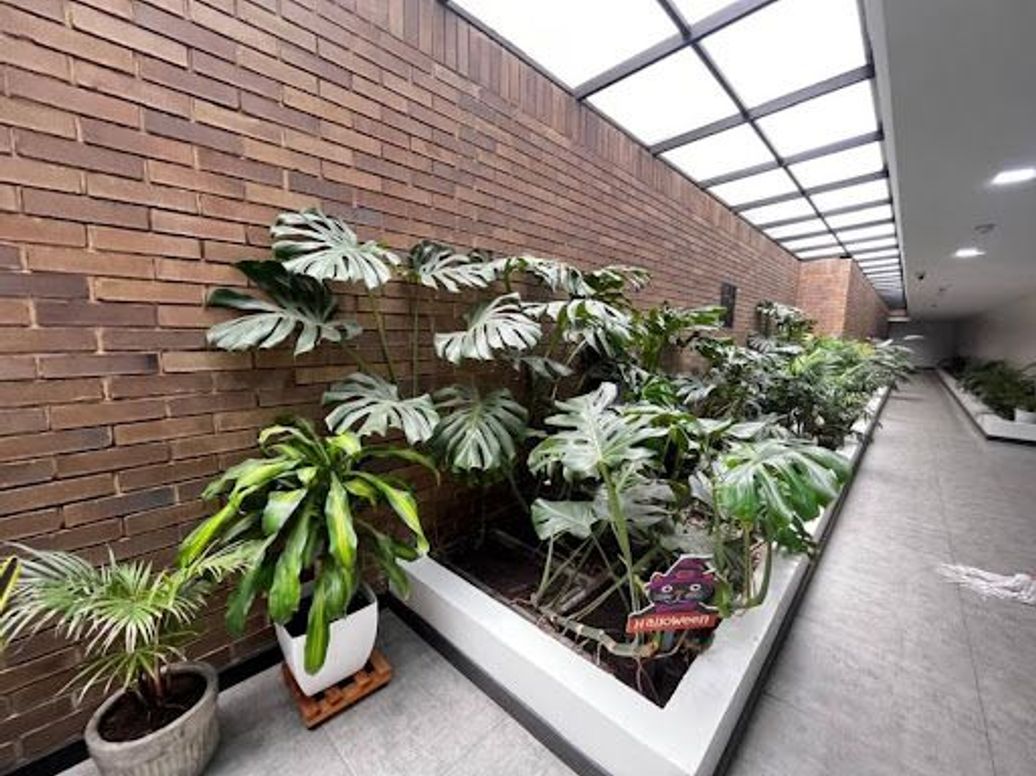 Apartamento de 2 alcobas en arriendo en Chapinero Alto, Bogotá, 58 m² · foto 3 de 20