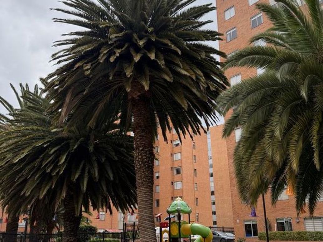 Apartamento de 3 alcobas en venta en Tierra Linda, Bogotá, 97 m² · foto 4 de 8