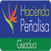 logo-proyecto
